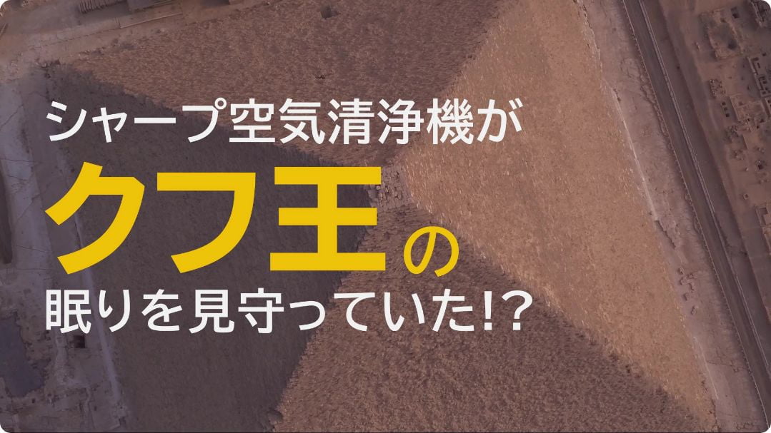 シャープ空気清浄機がクフ王の眠りを見守っていた！？
